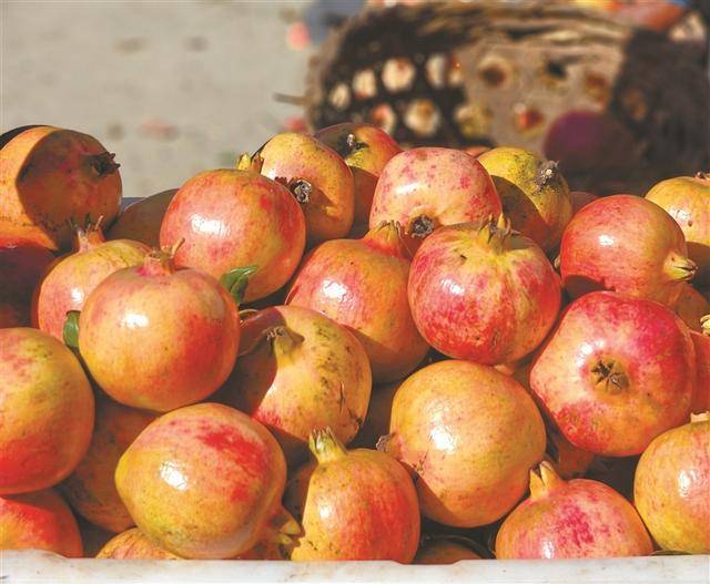 红石榴点亮高原秋