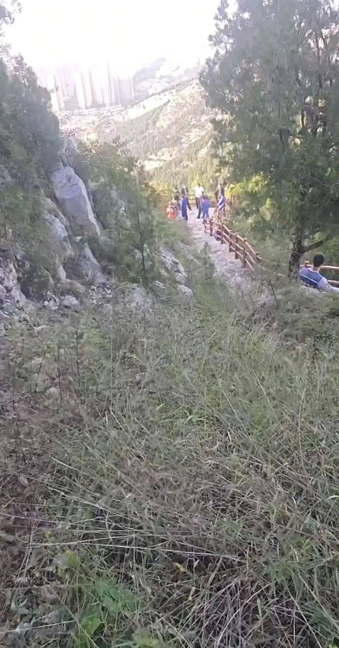 刚刚证实:苏某某已身亡,年仅29岁!遗体在离家2公里处……