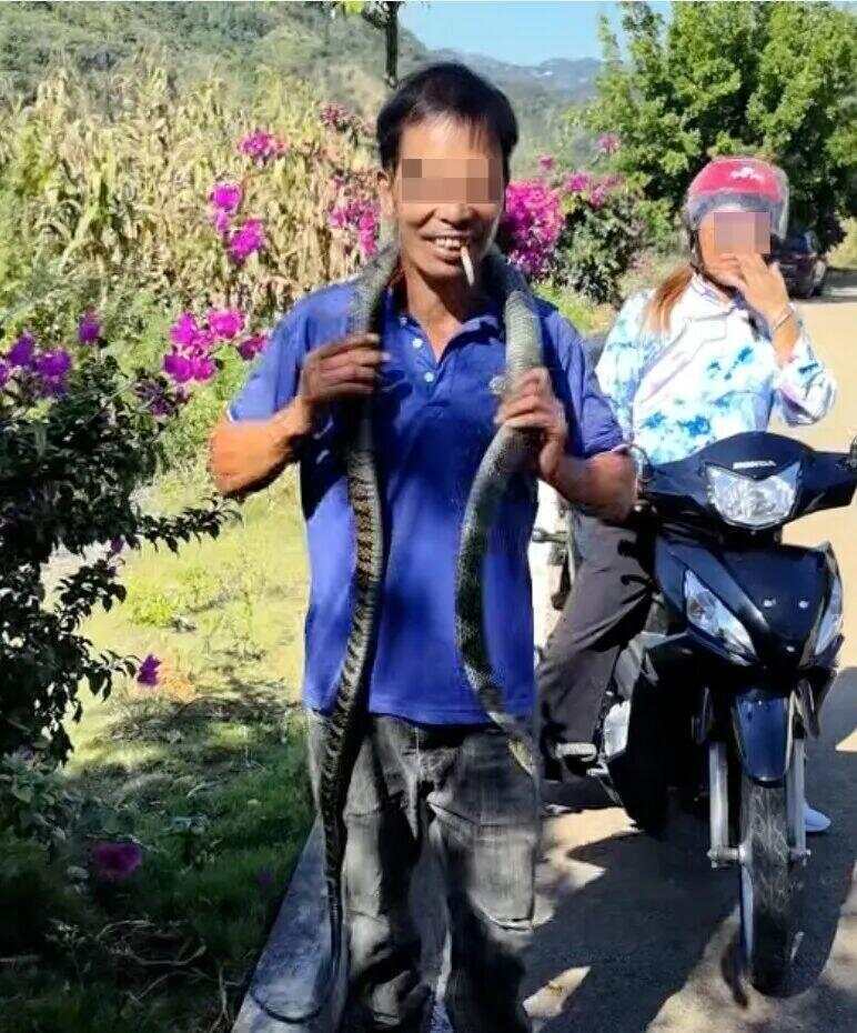 驴友爬山捡幼蛇轮流抚摸,专家:是短尾蝮蛇,毒性强,严重可导致死亡!