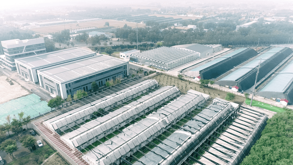 粮仓丰、产业强、乡村美——从“乡村振兴齐鲁论坛2025”看山东农业农村现代化新进展