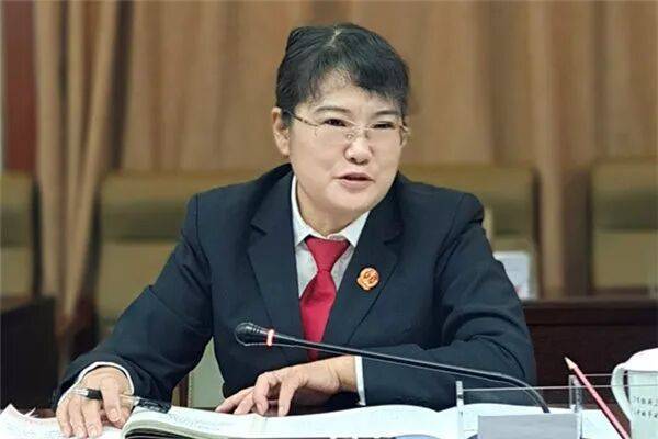 原专职委员杨琴，被查