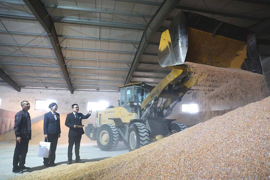 邮储银行金融服务秋收一线，助力丰收粮满仓