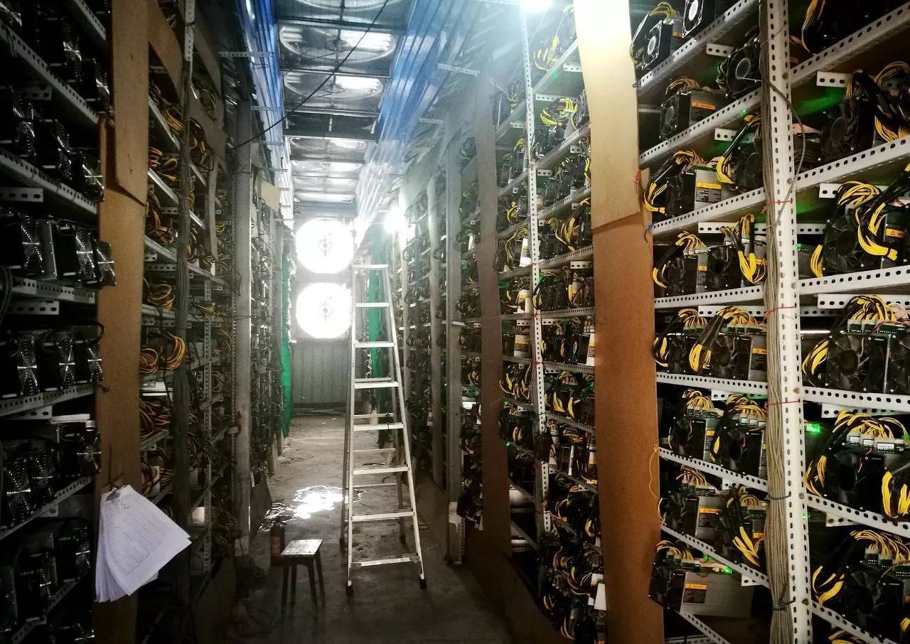 株洲虚拟币案件(虚拟币非法集资诈骗已结案案例)