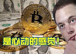 马斯克投资中国虚拟币的简单介绍