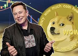 马斯克投资中国虚拟币的简单介绍